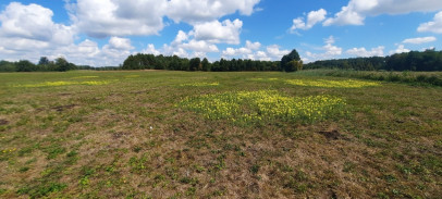 Działka Sprzedaż Krosno