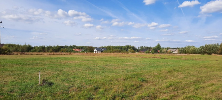 Działka Sprzedaż Zalesiany 5