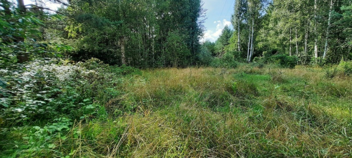 Działka Sprzedaż Szymki 6
