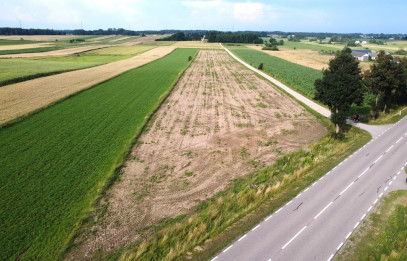 Działka Sprzedaż Malinówka