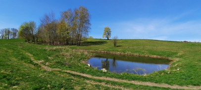 Działka Sprzedaż Przełomka