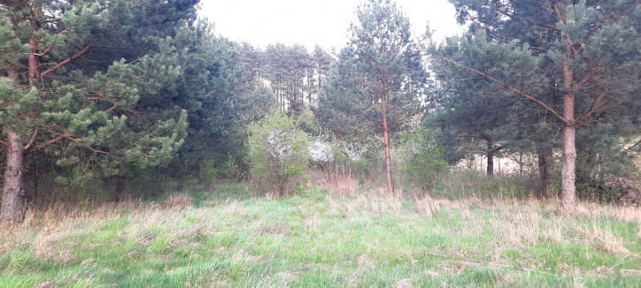 Działka Sprzedaż Studzianki 1