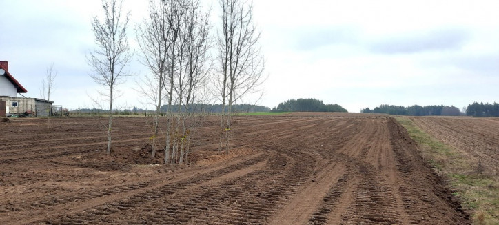 Działka Sprzedaż Stara Kamionka 1