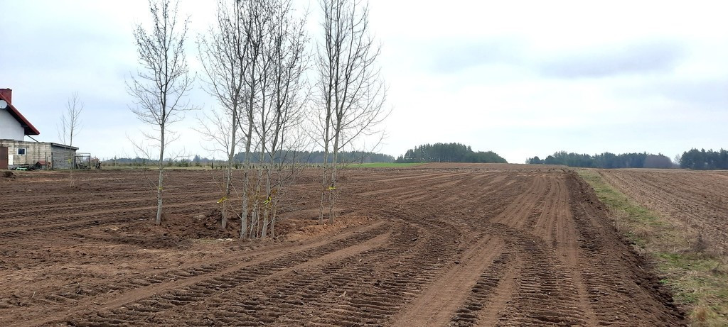 Działka Sprzedaż Stara Kamionka