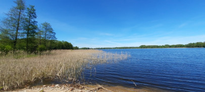 Działka Sprzedaż Pluszkiejmy